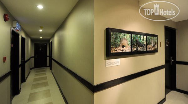 Hotel photo KK Suites Hotel 2*