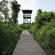 Abai Jungle Lodge 