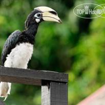 Gayana Marine Resort 