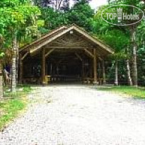 Borneo Tropical Rainforest 