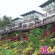 Celyn Resort Kinabalu 