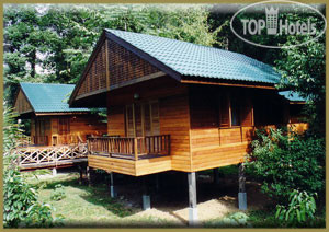 Hotel photo Borneo Rainforest Lodge 