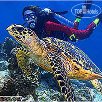 Lankayan Island Dive Resort