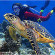 Lankayan Island Dive Resort 