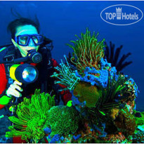 Lankayan Island Dive Resort