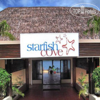 Starfish Cove 