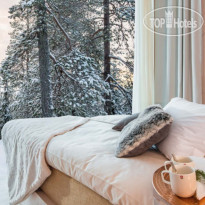 Arctic TreeHouse Hotel 