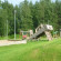 Koivukuja 
