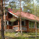 Karpalo 