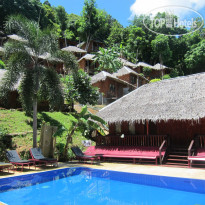 Bamboo Mountain View