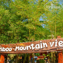 Bamboo Mountain View
