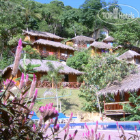 Bamboo Mountain View