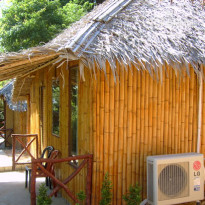 Bamboo Mountain View