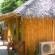 Bamboo Mountain View 