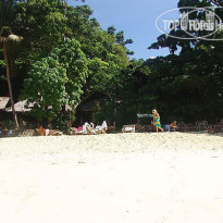 Viking Natures Resort 