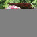 Pine Bungalow 