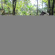 Pine Bungalow 