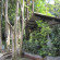 Pine Bungalow 