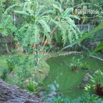 Frog & Catfish Country Inn 