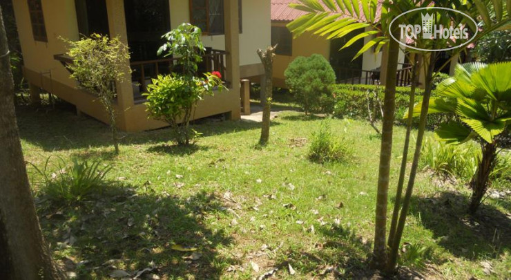 New photos from tourists King New Bungalow 1*
