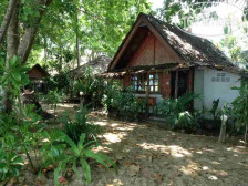 Dawn Of Happiness 1*