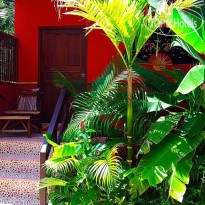 Ancient Realm Resort & Spa 