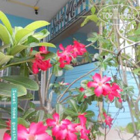 Sweet Home Guesthouse