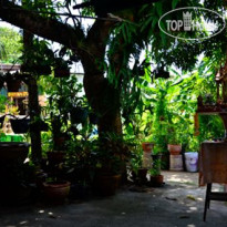 Ban To Guesthouse