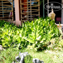 Cha-ba Bungalow & Art Gallery 