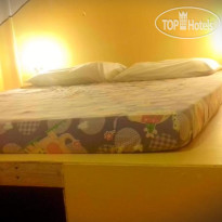 Hostaria 239 Budget B&B