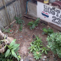 Hostaria 239 Budget B&B