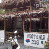 Hostaria 239 Budget B&B