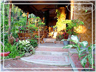 New photos from tourists The Blub Village Resort 3*
