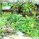 The Blub Village Resort 