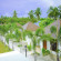 Coco Beach 