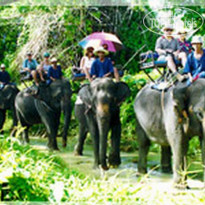 Duang Jai Resort