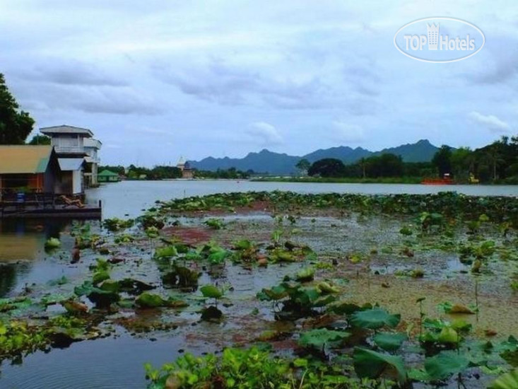 New photos from tourists Tamarind Guesthouse 2*