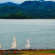 Green River Hill Resort Вид из номера