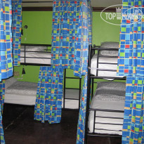 Cow Hostel 