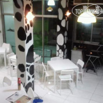 Cow Hostel 