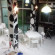 Cow Hostel 