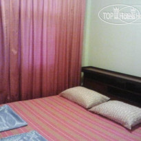 Cow Hostel 