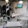 Cow Hostel 