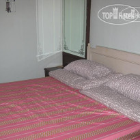 Cow Hostel 