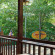 A And A Guesthouse 