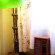 Baan Dinso Hostel 