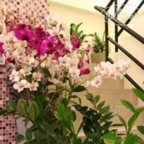 Lilac Relax-Residence 