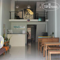 Urbed Hostel 