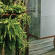 Hansar Bangkok 