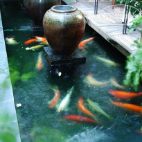 Trang Hotel Bangkok 